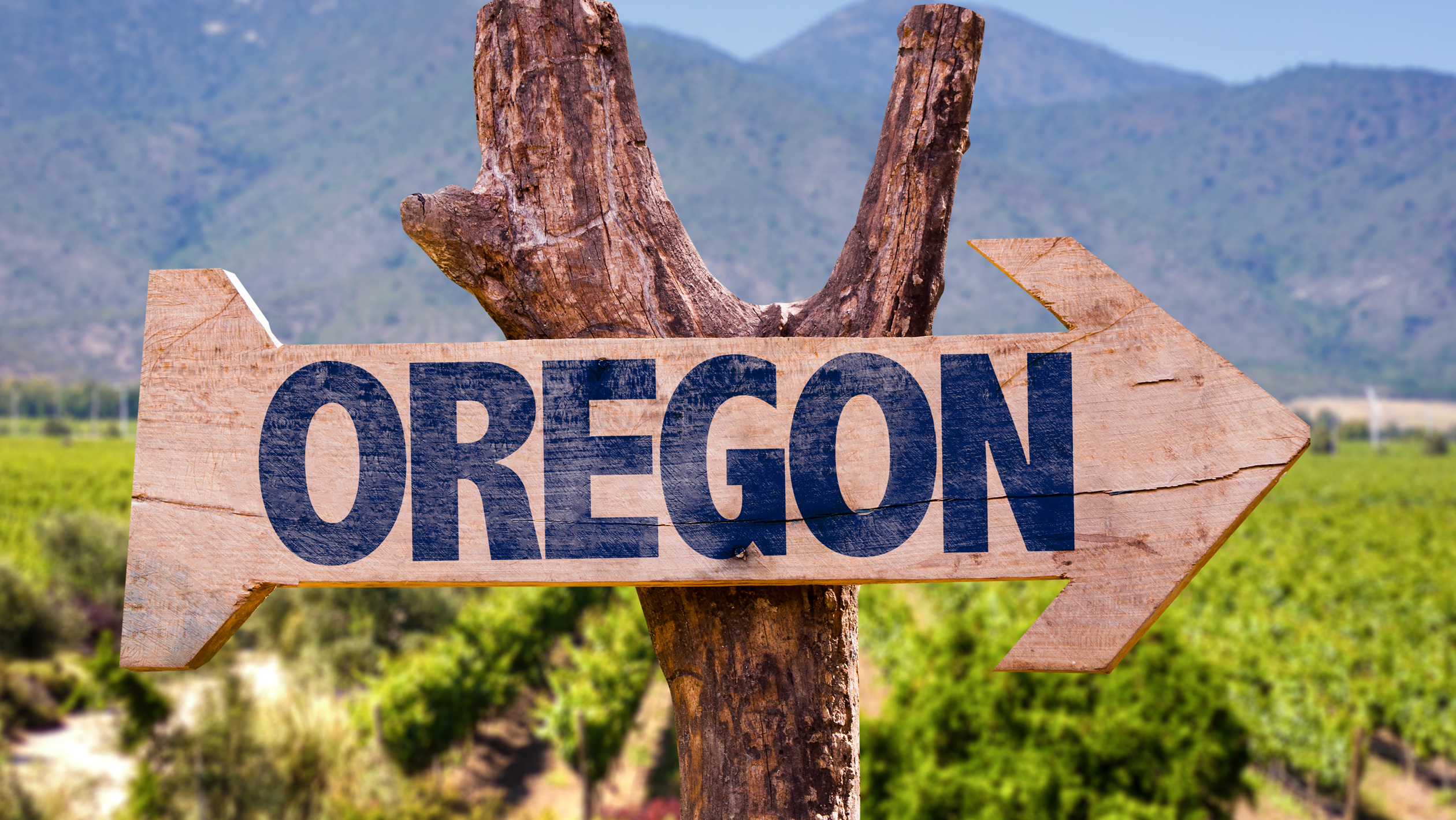 a sign with a mountain in the background